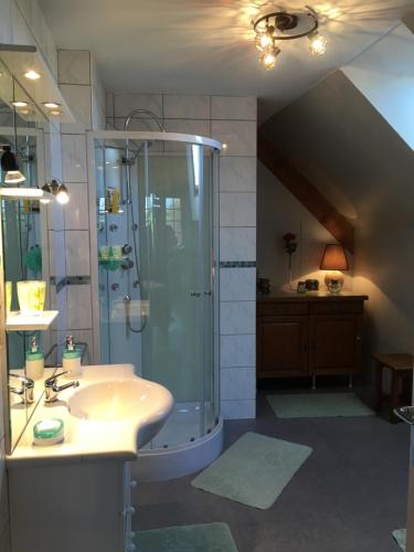 a bathroom with a shower and a sink at Le bon séjour in Saint-Hilaire-Petitville