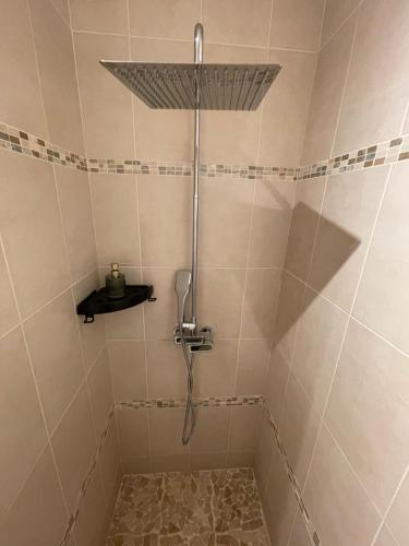 une douche avec pommeau de douche dans une salle de bain dans l'établissement Gîte Rilly-la-Montagne, à Rilly-la-Montagne