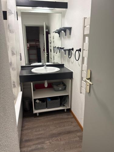 une salle de bain avec un lavabo et un miroir dans l'établissement Appartement à la Montagne à 1650 m, à Saint-François-Longchamp