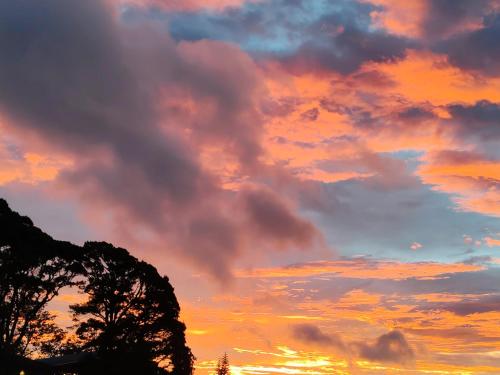 a sunset with a tree in the foreground at Mi Casa Su Casa Monteverde in Monteverde Costa Rica