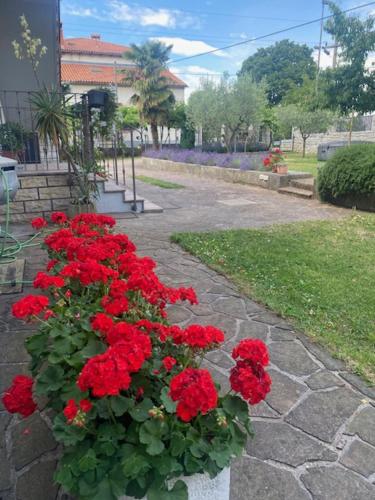 a bunch of red flowers in a flower pot at Hiša Tavčar in Dutovlje