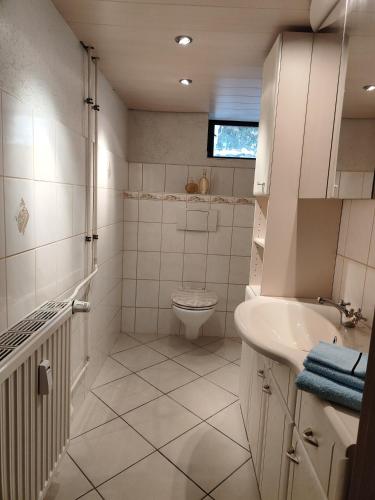 a white bathroom with a toilet and a sink at ansimali 2 - 1Zimmer-Apartment mit Wohn- und Schlafraum, integrierter Küchenzeile, separater Dusche und WC - ideal für Alleinreisende und Monteure am Spiegelwald in Grünhain-Beierfeld