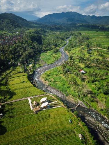 an aerial view of a river in a field at Uma D Mapad Sidemen in Sidemen