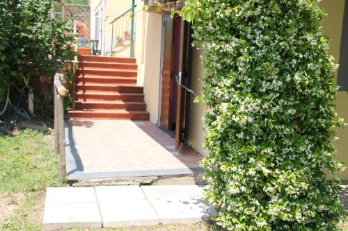 a doorway to a house with a green hedge at Agriturismo Piccolo Paradiso in Piano di Sorrento