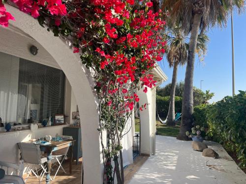an archway with red flowers on a house at La Casa di Nina in La Maddalena