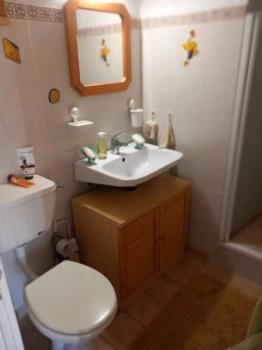 une salle de bain avec un lavabo, des toilettes et un miroir dans l'établissement Maison charmante à Gruissan avec piscine partagée, à Gruissan
