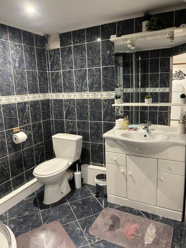 une salle de bain avec toilettes et lavabo dans l'établissement 