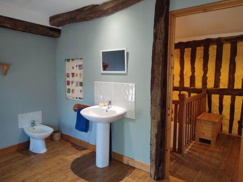 une salle de bain avec un lavabo et des toilettes dans l'établissement La Lavande - Perigord Vert,Dordogne, à La Roche-Chalais