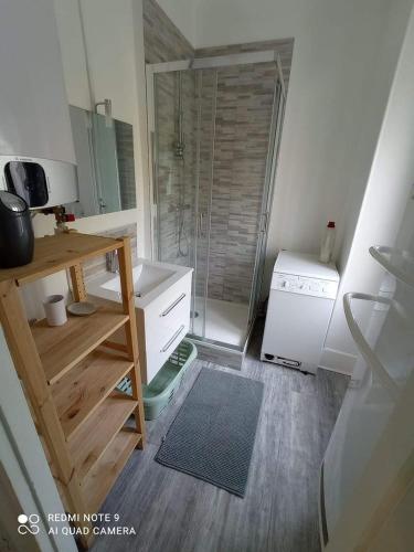 Appartement familial Fleur de coton - centre-ville