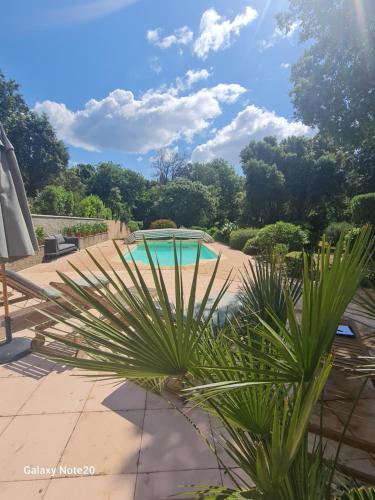 une piscine dans un jardin planté de palmiers dans l'établissement Villa Rosalia, à Uzès