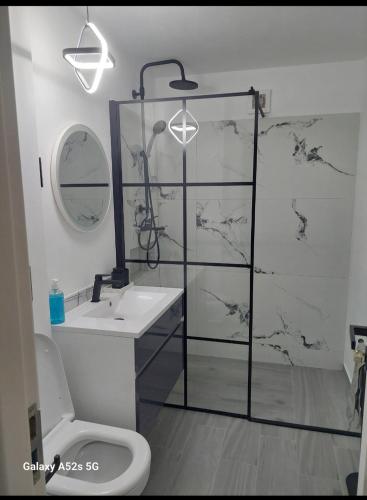 a bathroom with a shower and a sink and a toilet at Isabell Apartaments in Râmnicu Vâlcea