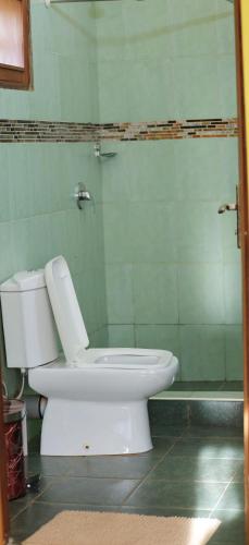 a white toilet in a bathroom with green walls at Palm Valley Golf Resort in Buzzi