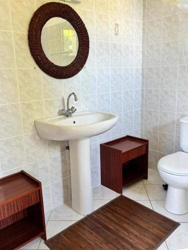 une salle de bain avec un lavabo et des toilettes dans l'établissement Chez Raoul, maison agréable, à Villebernier