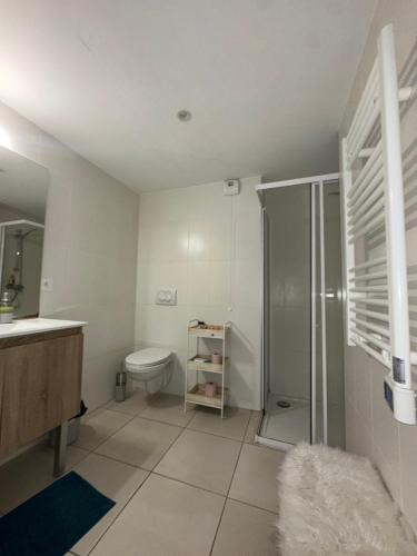 a bathroom with a shower and a toilet and a sink at 2Bedrooms, Thèoule-sur-mer in Théoule-sur-Mer