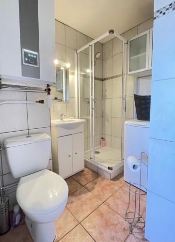une salle de bain avec toilettes et douche dans l'établissement bel appartement climatisé près de la plage, à Bormes-les-Mimosas