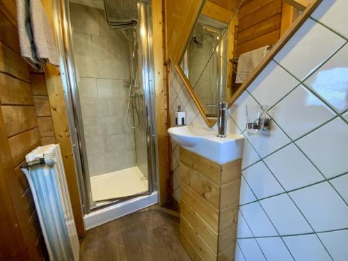 a bathroom with a sink and a shower at Chalet Des Sangliers in Séez