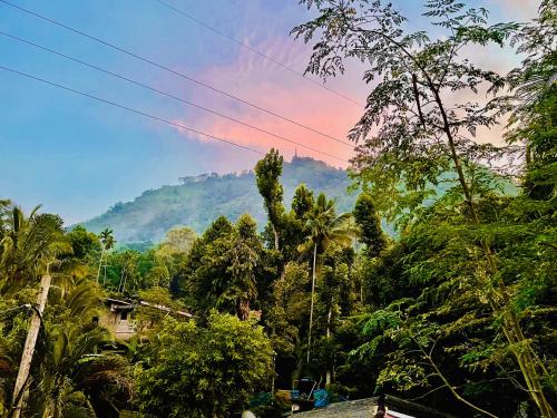 a view of a jungle with trees and a mountain at Ambuluwawa View Inn in Gampola