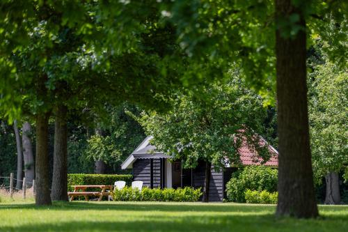 a small cabin in the middle of a park with trees at B&B Hof van Heden in Enschede