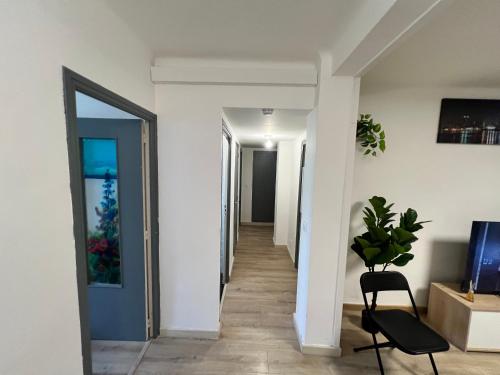 Magnifique Appartement Montpelliérain