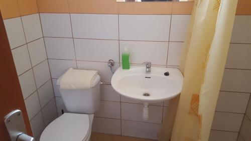 a small bathroom with a toilet and a sink at M&M Apartman in Tiszafüred