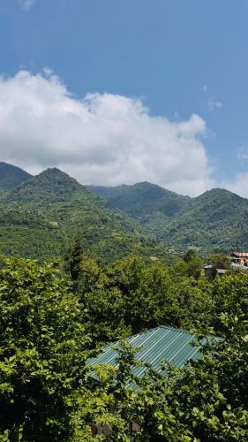 シャレーの近くで見られる自然の景観