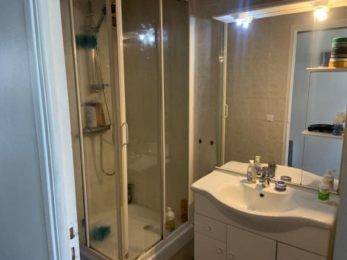 une salle de bain avec douche et lavabo dans l'établissement Colocation maison avec piscine vélodrome, à Marseille