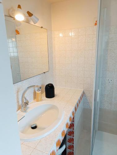 une salle de bain avec un lavabo et une douche dans l'établissement Cozy and authentic house, à L'Aiguillon-la-Presqu'île