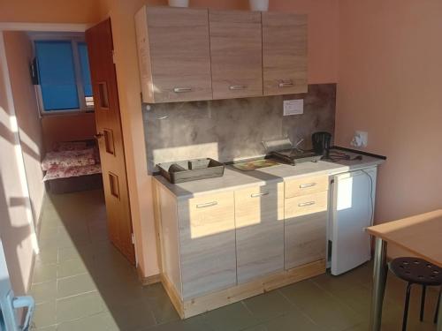 a kitchen with a counter with a sink and a refrigerator at Domki i pokoje ,,Pod Palmami" w centrum in Okuninka