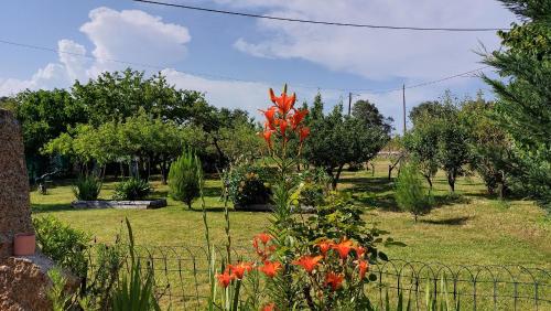 Afbeelding uit fotogalerij van Quinta do Serrado de Belmonte in Belmonte