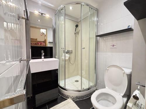 une salle de bain avec une douche, des toilettes et un lavabo dans l'établissement Studio skis aux pieds, animaux acceptés, parking, balcon, 4 personnes - FR-1-505-230, à Notre-Dame-de-Bellecombe