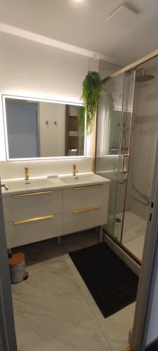 une salle de bain avec un lavabo et une douche avec un miroir dans l'établissement Le moulin à vent, à Perpignan