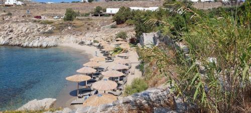 Cozy Island blue home