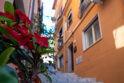 a plant with red flowers in front of a building at Th Luxury Apartment Taormina in Taormina