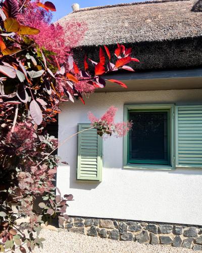 a white house with green windows and red leaves at Zanzara Guesthouse in Pákozd