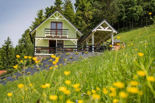 Domek na Fierkowskiej Dolinie