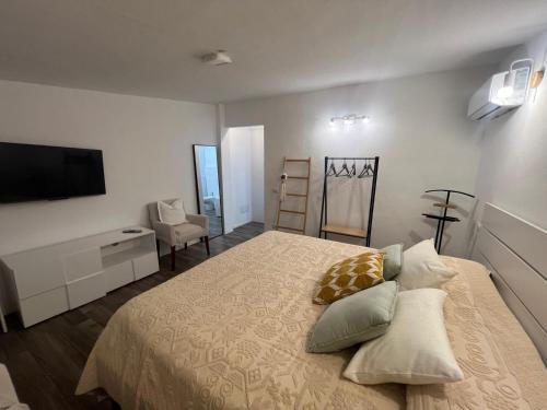 a bedroom with a large bed and a television at New ! Rayuela San Pantaleo in San Pantaleo