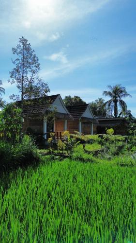 a house in the middle of a field of grass at PANORAMA BUNGALOWs in Tetebatu