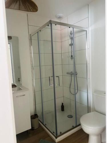 La salle de bains est pourvue d'une douche en verre et de toilettes. dans l'établissement Le Sauge Centre Fougères, à Fougères