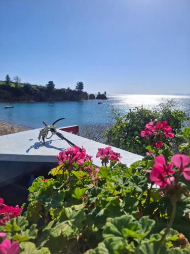 a table with flowers and a view of the water at Agnanti Kotsikia in Kotsikiá