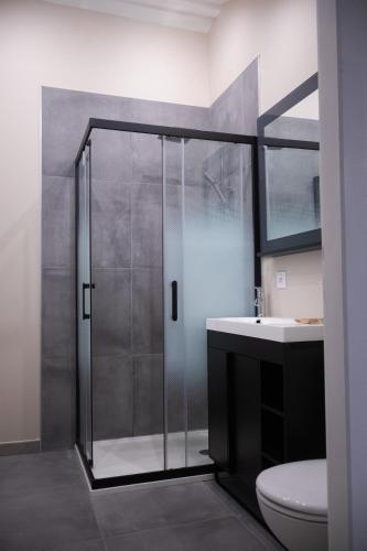 une salle de bain avec une douche, des toilettes et un lavabo dans l'établissement T3 lumineux dans maison avec jardin terrasse et parking Vallee de l Eyrieux, à La Voulte-sur-Rhône