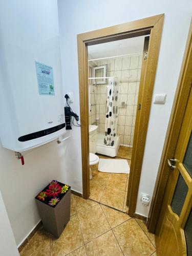 a bathroom with a toilet and a sink and a mirror at Apartament David in Neptun