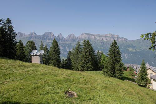 a green hill with trees and mountains in the background at Churfirsten Blick- Charme mit Aussicht & Liftnähe in Quarten