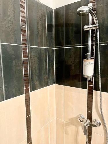 La salle de bains est pourvue d'une douche et de carrelage noir. dans l'établissement L'Industriel - Lit King Size, à Carcassonne