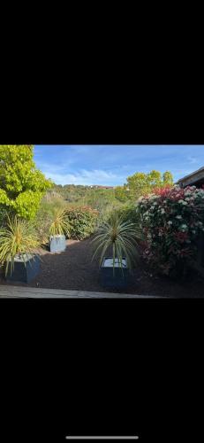 Elle offre une vue sur un jardin agrémenté de plantes et de fleurs. dans l'établissement Mini villa sur Santa Giulia, à Porto-Vecchio