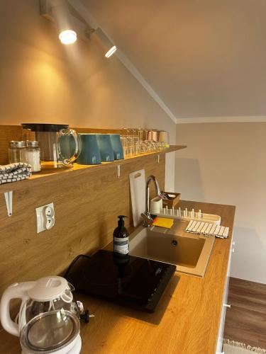 Η κουζίνα ή μικρή κουζίνα στο Apartamenty Marii Kawik