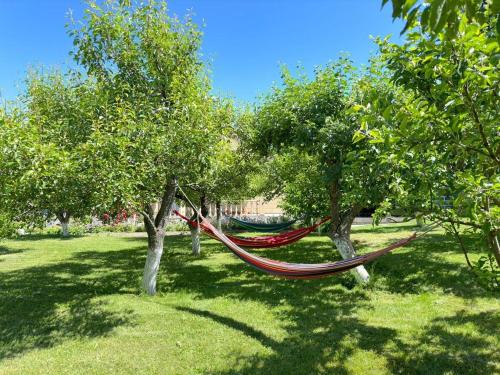 a hammock hanging between two trees in a park at Guest House Chkalovka Garden in Sevan