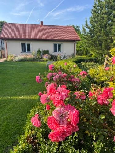 Agroturystyka Smulsko