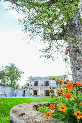 Zahrada ubytování Lagoon House Negombo