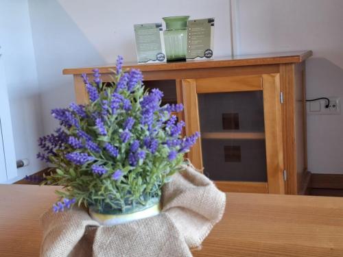 Φωτογραφία από το άλμπουμ του Stone, wifi, pet-friendly y garage - Arafita Apartamentos σε Formigal