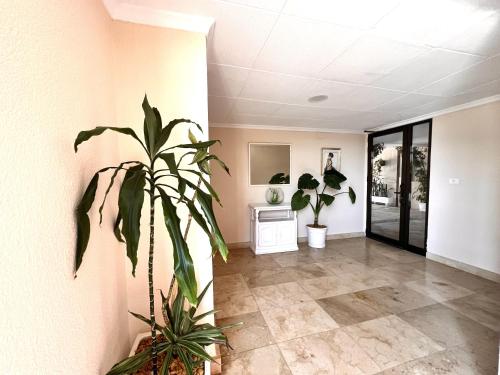 Albatros II - Apartamento frente al mar